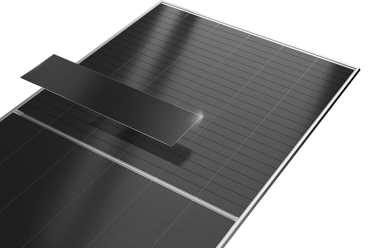 Jinko Tiger Neo 3.0 730 Wp bifacial module